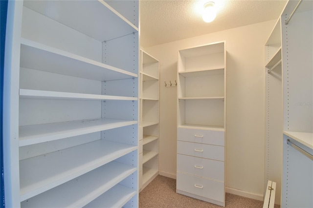 2478 NW 50th Ave, Ocala, FL 34482 - walk in closet featuring light colored carpet