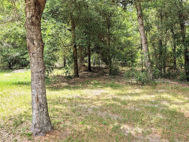 13921 SW 108th Ln, Dunnellon, FL 34432 - view of yard with a wooded view