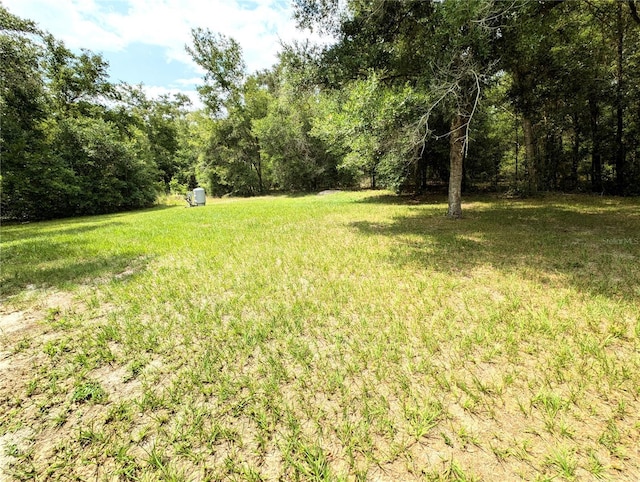 13921 SW 108th Ln, Dunnellon, FL 34432 - view of green lawn featuring a view of trees