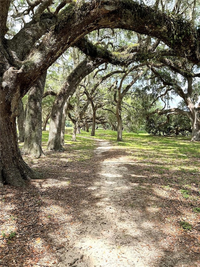 13921 SW 108th Ln, Dunnellon, FL 34432 - view of road