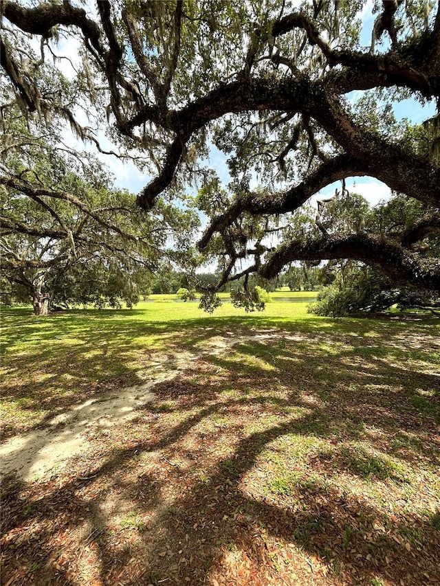 13921 SW 108th Ln, Dunnellon, FL 34432 - view of green lawn