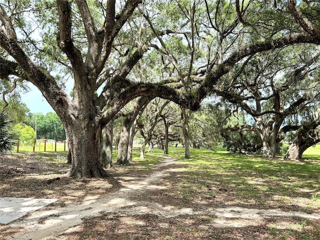 13921 SW 108th Ln, Dunnellon, FL 34432 - view of property's community