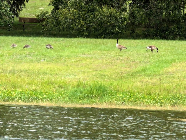 13921 SW 108th Ln, Dunnellon, FL 34432 - view of yard with a water view