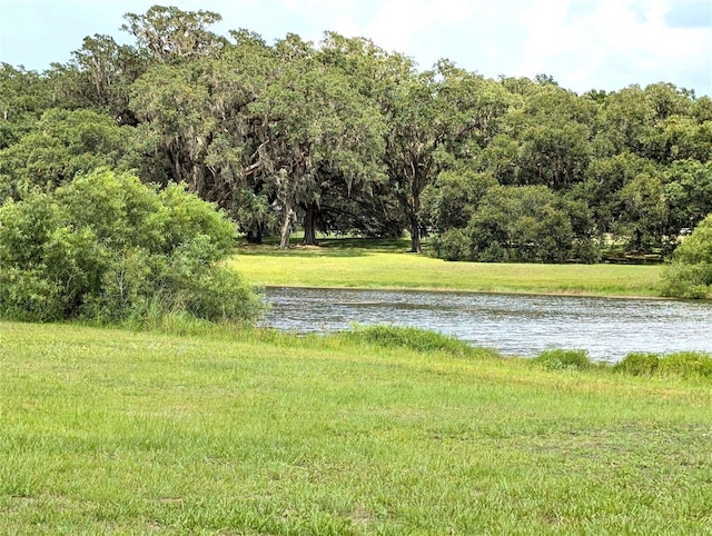 13921 SW 108th Ln, Dunnellon, FL 34432 - water view