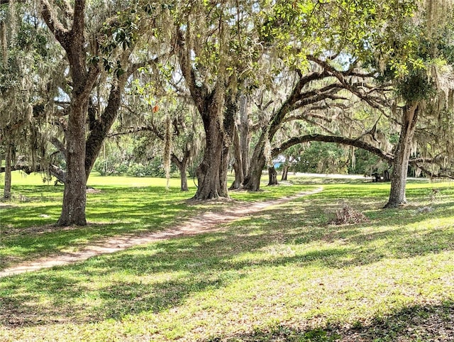13921 SW 108th Ln, Dunnellon, FL 34432 - view of grassy yard
