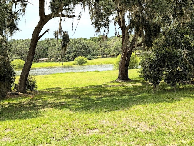 13921 SW 108th Ln, Dunnellon, FL 34432 - view of green lawn featuring a water view