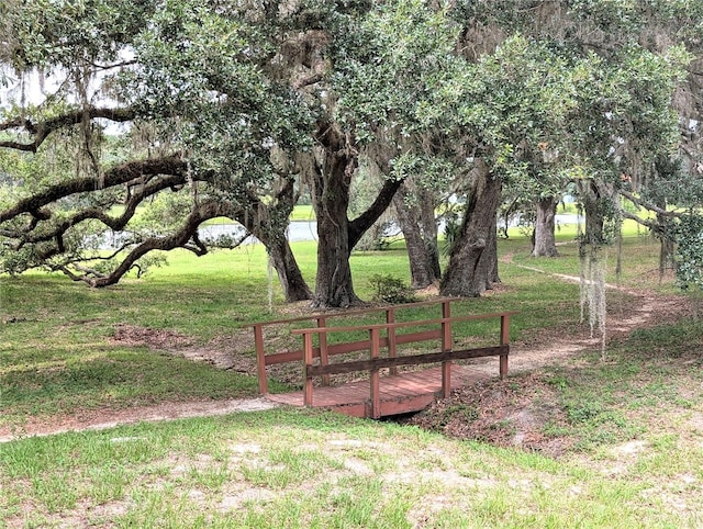 13921 SW 108th Ln, Dunnellon, FL 34432 - view of green lawn