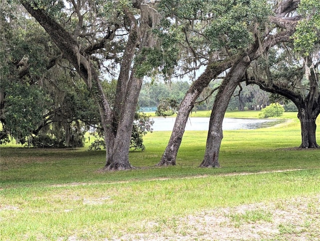 13921 SW 108th Ln, Dunnellon, FL 34432 - view of grassy yard