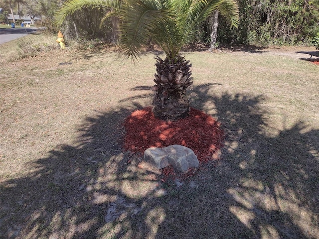 57 Pine Dr, Homosassa, FL 34446 - photo 42