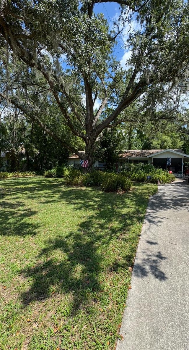2927 SE 13th St, Ocala, FL 34471 - view of grassy yard featuring driveway