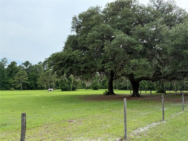 1360 S State Road 19, Palatka, FL 32177 - photo 8
