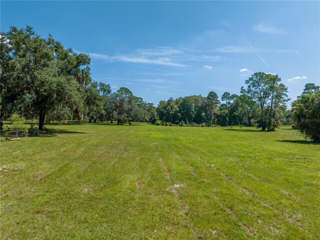 1360 S State Road 19, Palatka, FL 32177 - photo 10