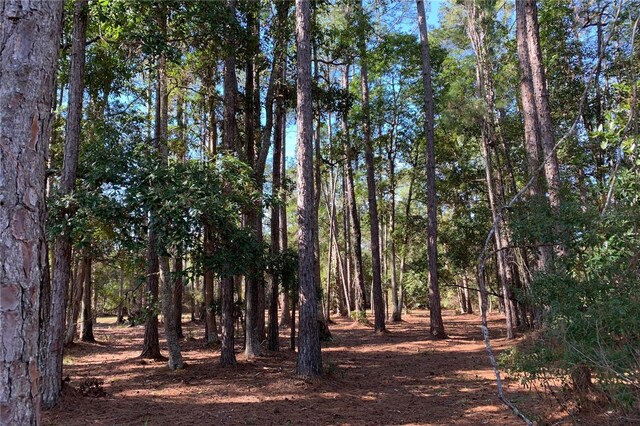 1360 S State Road 19, Palatka, FL 32177 - photo 16