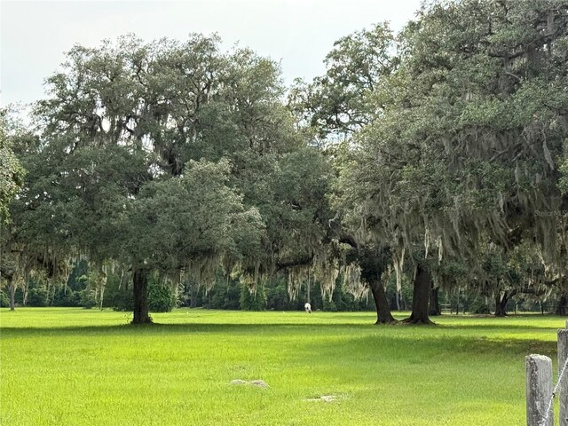 1360 S State Road 19, Palatka, FL 32177 - photo 17