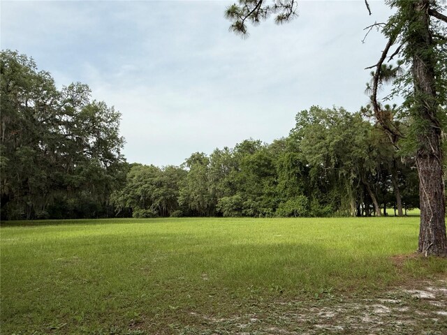 1360 S State Road 19, Palatka, FL 32177 - photo 31
