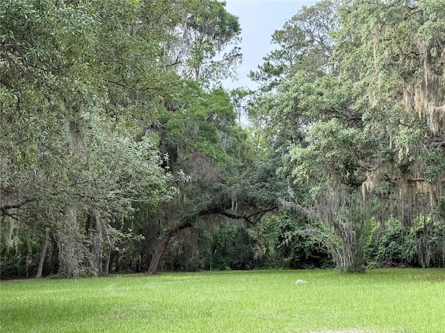 1360 S State Road 19, Palatka, FL 32177 - photo 34