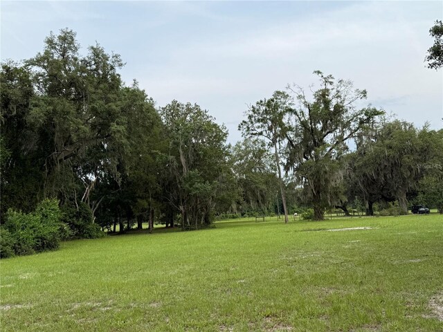 1360 S State Road 19, Palatka, FL 32177 - photo 36