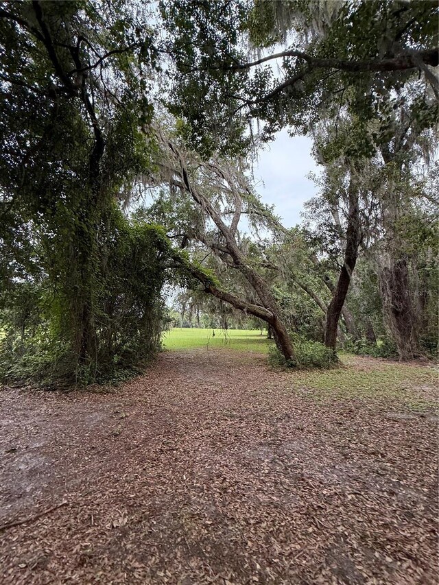 1360 S State Road 19, Palatka, FL 32177 - photo 38