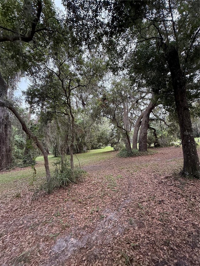 1360 S State Road 19, Palatka, FL 32177 - photo 39