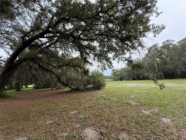 1360 S State Road 19, Palatka, FL 32177 - photo 40