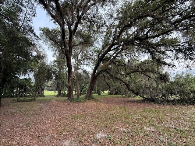 1360 S State Road 19, Palatka, FL 32177 - photo 41