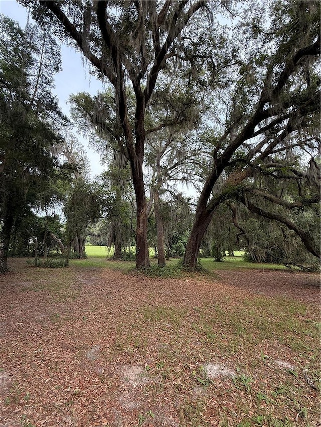 1360 S State Road 19, Palatka, FL 32177 - photo 42