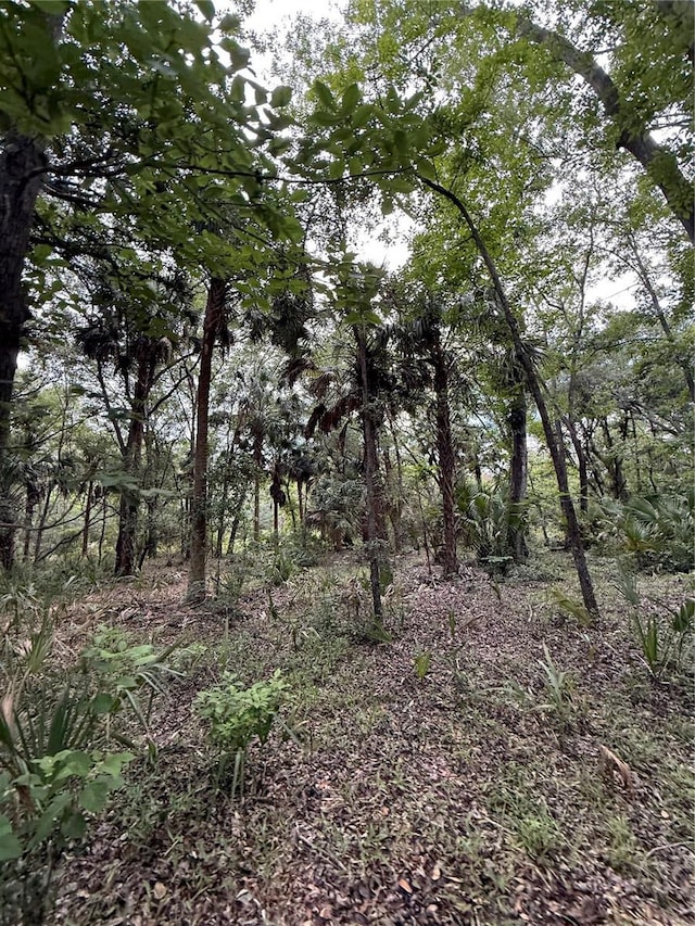 1360 S State Road 19, Palatka, FL 32177 - photo 45