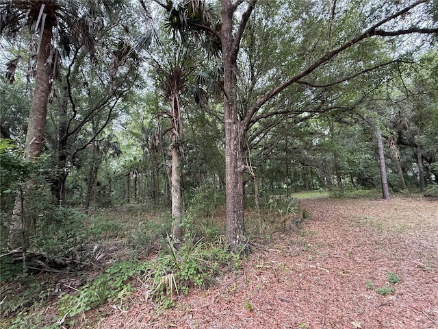 1360 S State Road 19, Palatka, FL 32177 - photo 47