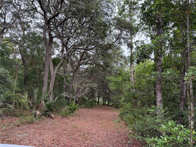 1360 S State Road 19, Palatka, FL 32177 - photo 48