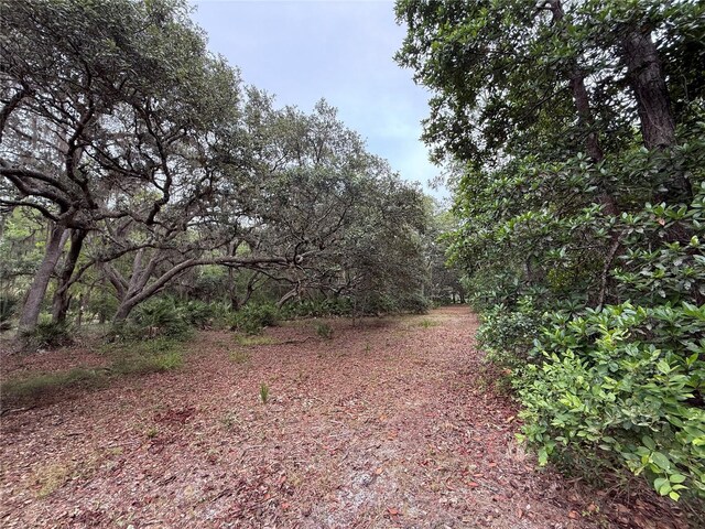 1360 S State Road 19, Palatka, FL 32177 - photo 49