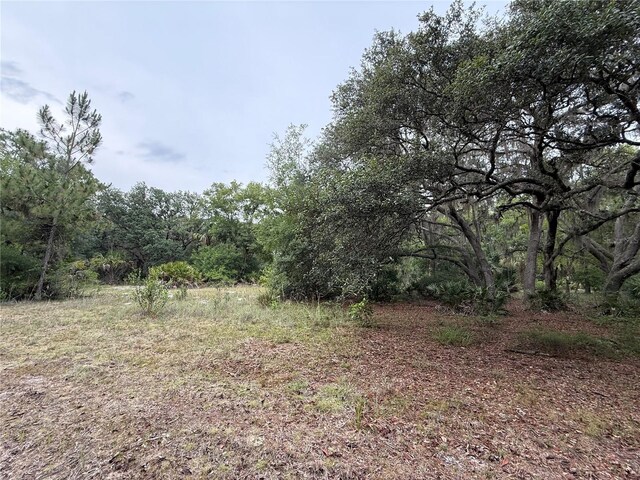 1360 S State Road 19, Palatka, FL 32177 - photo 50