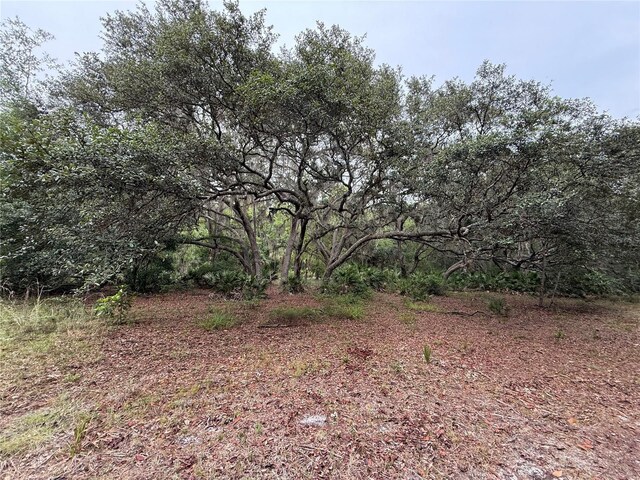 1360 S State Road 19, Palatka, FL 32177 - photo 51