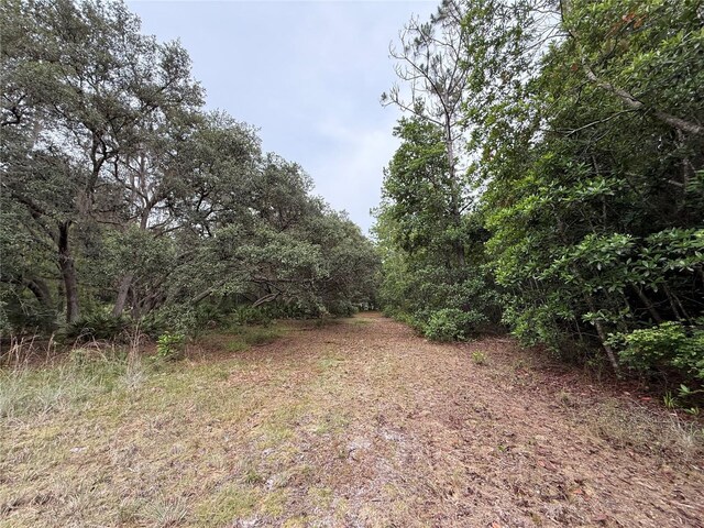 1360 S State Road 19, Palatka, FL 32177 - photo 52