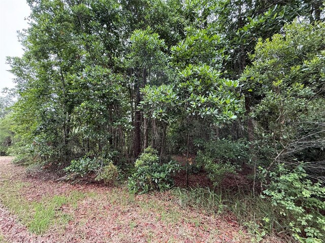 1360 S State Road 19, Palatka, FL 32177 - photo 54