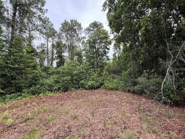 1360 S State Road 19, Palatka, FL 32177 - photo 55