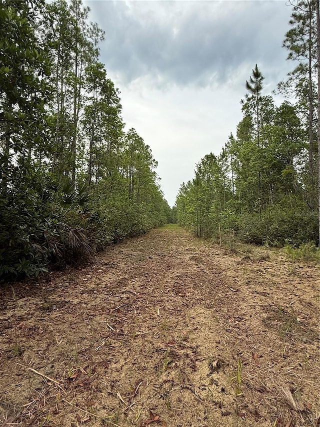 1360 S State Road 19, Palatka, FL 32177 - photo 56