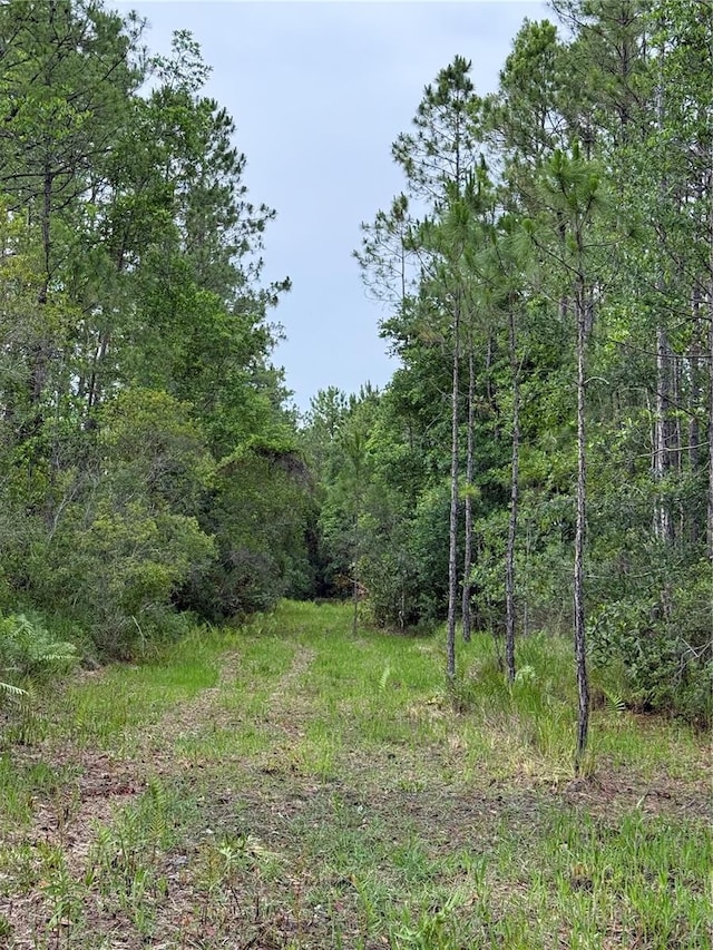 1360 S State Road 19, Palatka, FL 32177 - photo 57