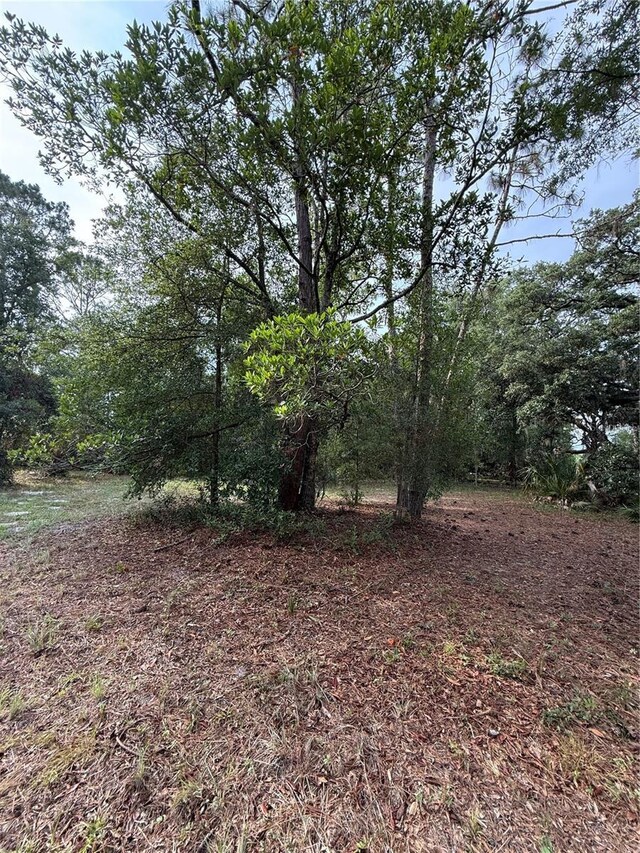 1360 S State Road 19, Palatka, FL 32177 - photo 58