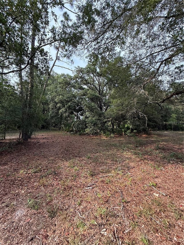 1360 S State Road 19, Palatka, FL 32177 - photo 59