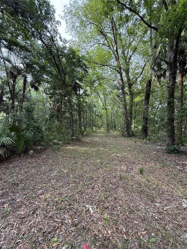1360 S State Road 19, Palatka, FL 32177 - photo 60