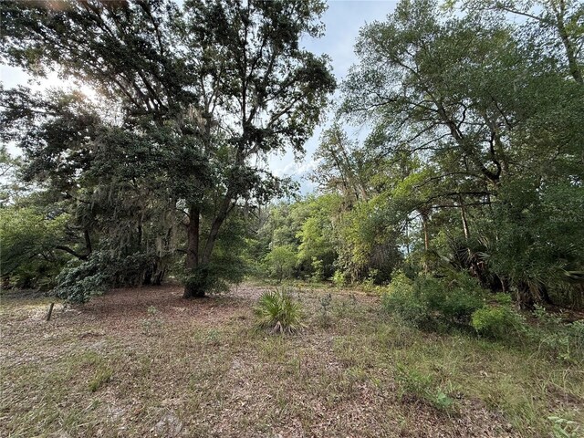 1360 S State Road 19, Palatka, FL 32177 - photo 61