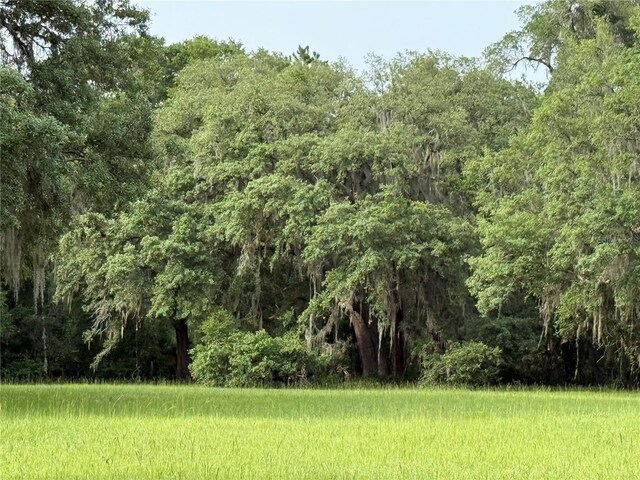 1360 S State Road 19, Palatka, FL 32177 - photo 62