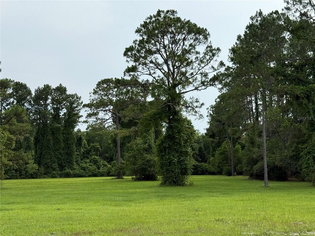 1360 S State Road 19, Palatka, FL 32177 - photo 65