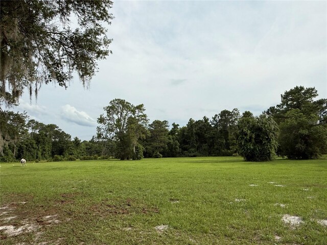 1360 S State Road 19, Palatka, FL 32177 - photo 66