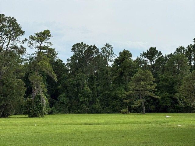 1360 S State Road 19, Palatka, FL 32177 - photo 67