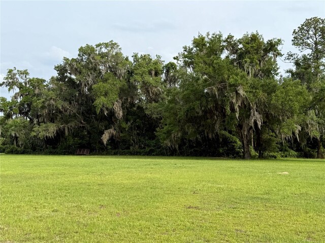 1360 S State Road 19, Palatka, FL 32177 - photo 69
