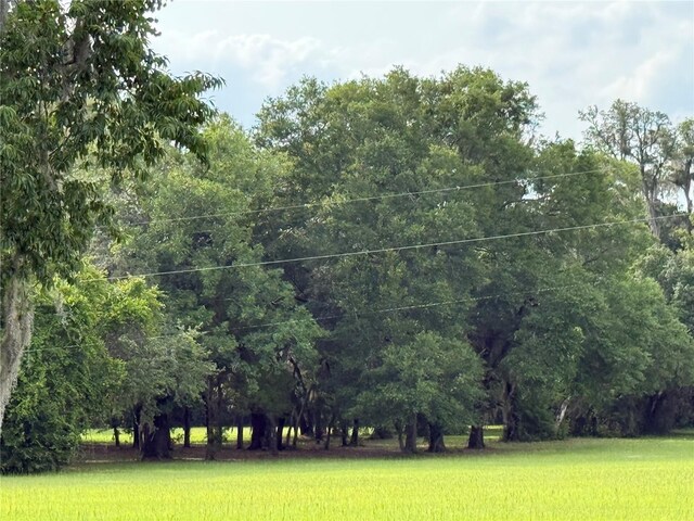 1360 S State Road 19, Palatka, FL 32177 - photo 70