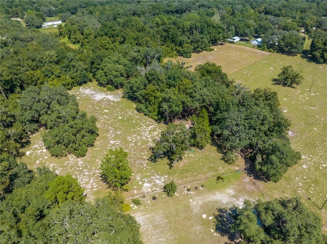 1360 S State Road 19, Palatka, FL 32177 - photo 96