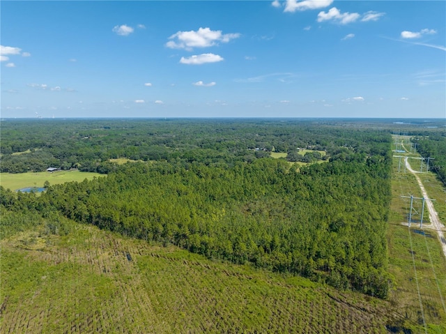 1360 S State Road 19, Palatka, FL 32177 - photo 97