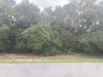 00 SW 158th St, Ocala, FL 34473